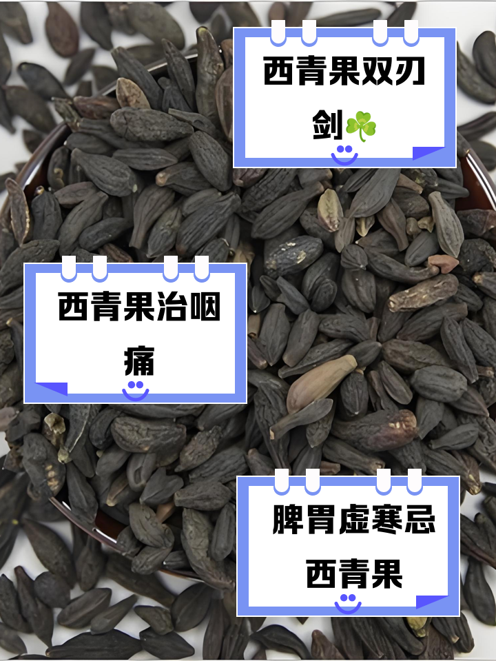 青果的功效与作用有哪些?