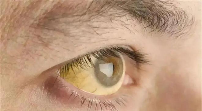 2025年10月23日 第10页