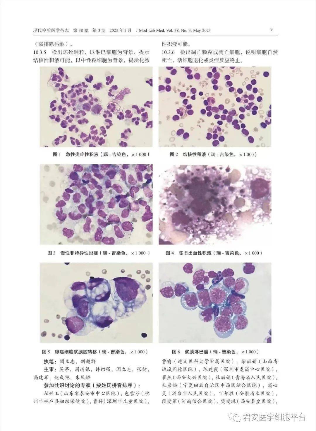 阴道镜活检是什么
