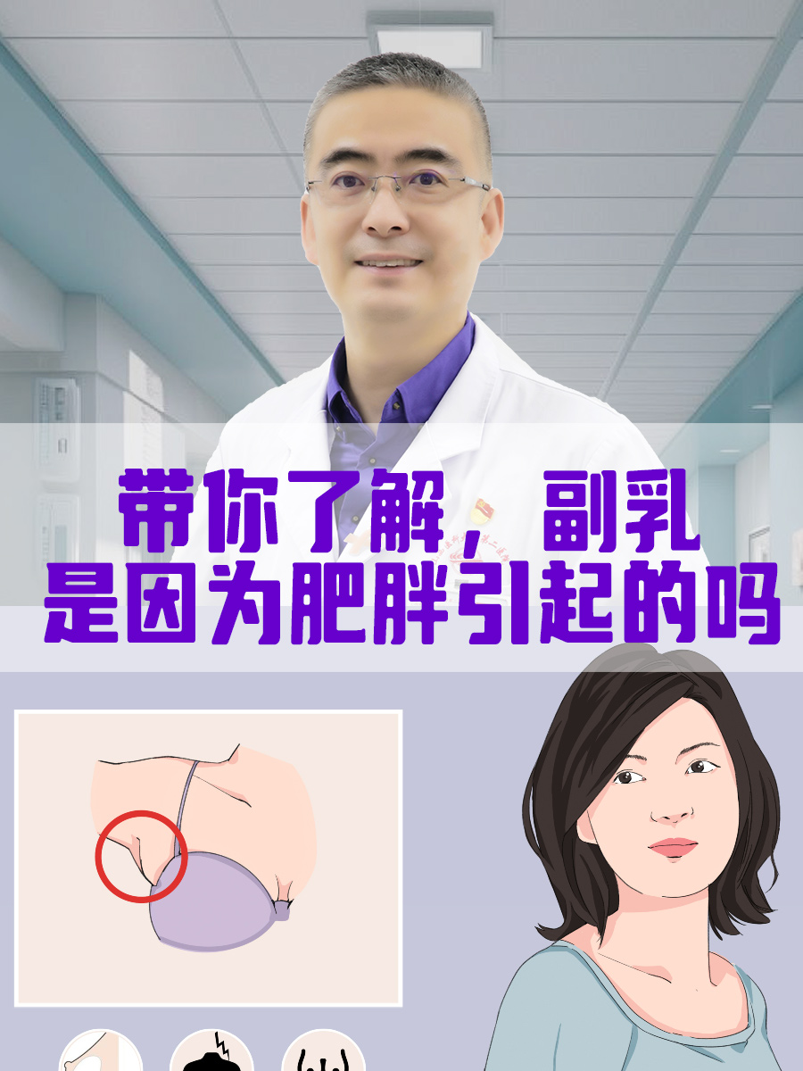 假副乳和真副乳的区别