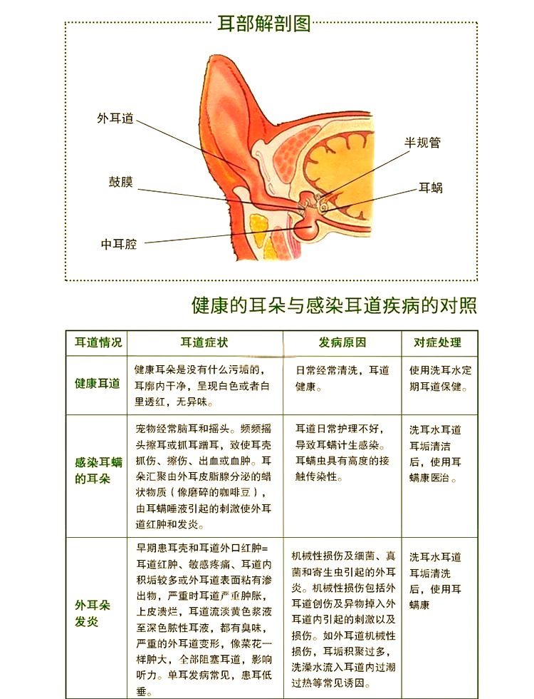 外耳道炎多久能好