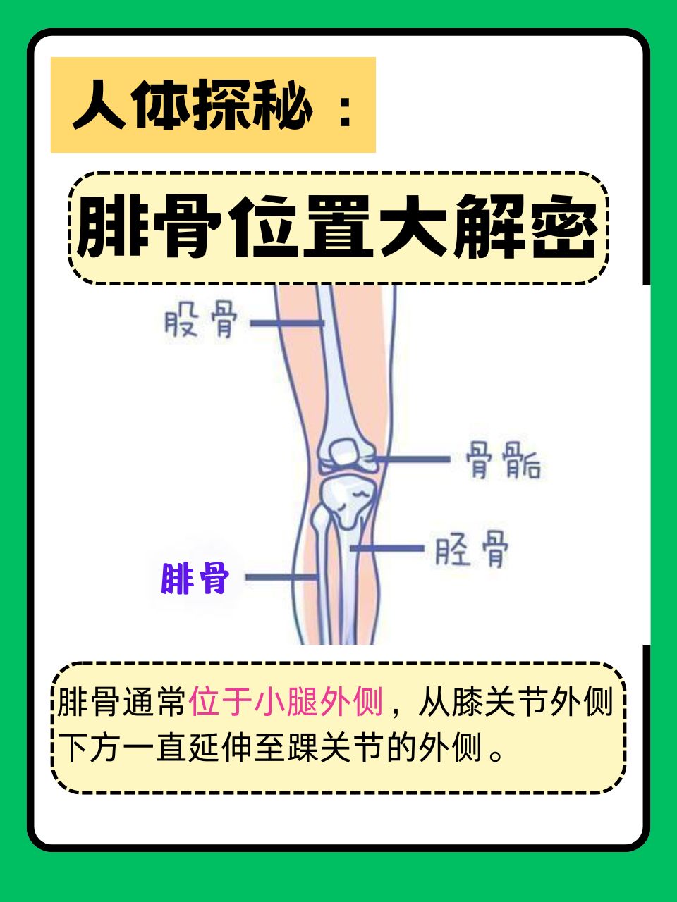 小腿骨头痛是怎么回事