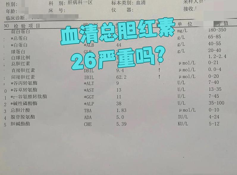 总胆红素偏高严重吗