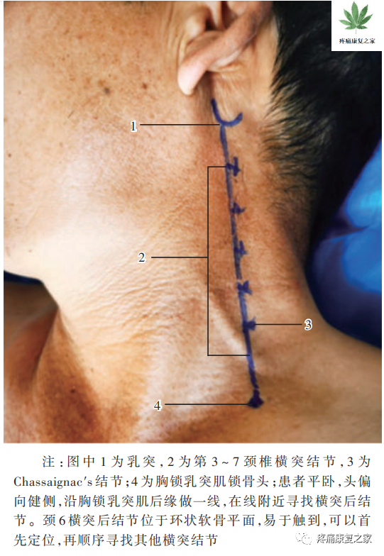 背神经阻断术有什么危害