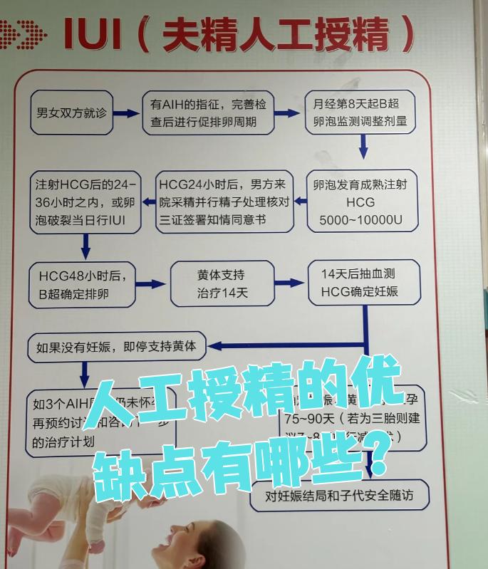 人工授精的成功率有多少