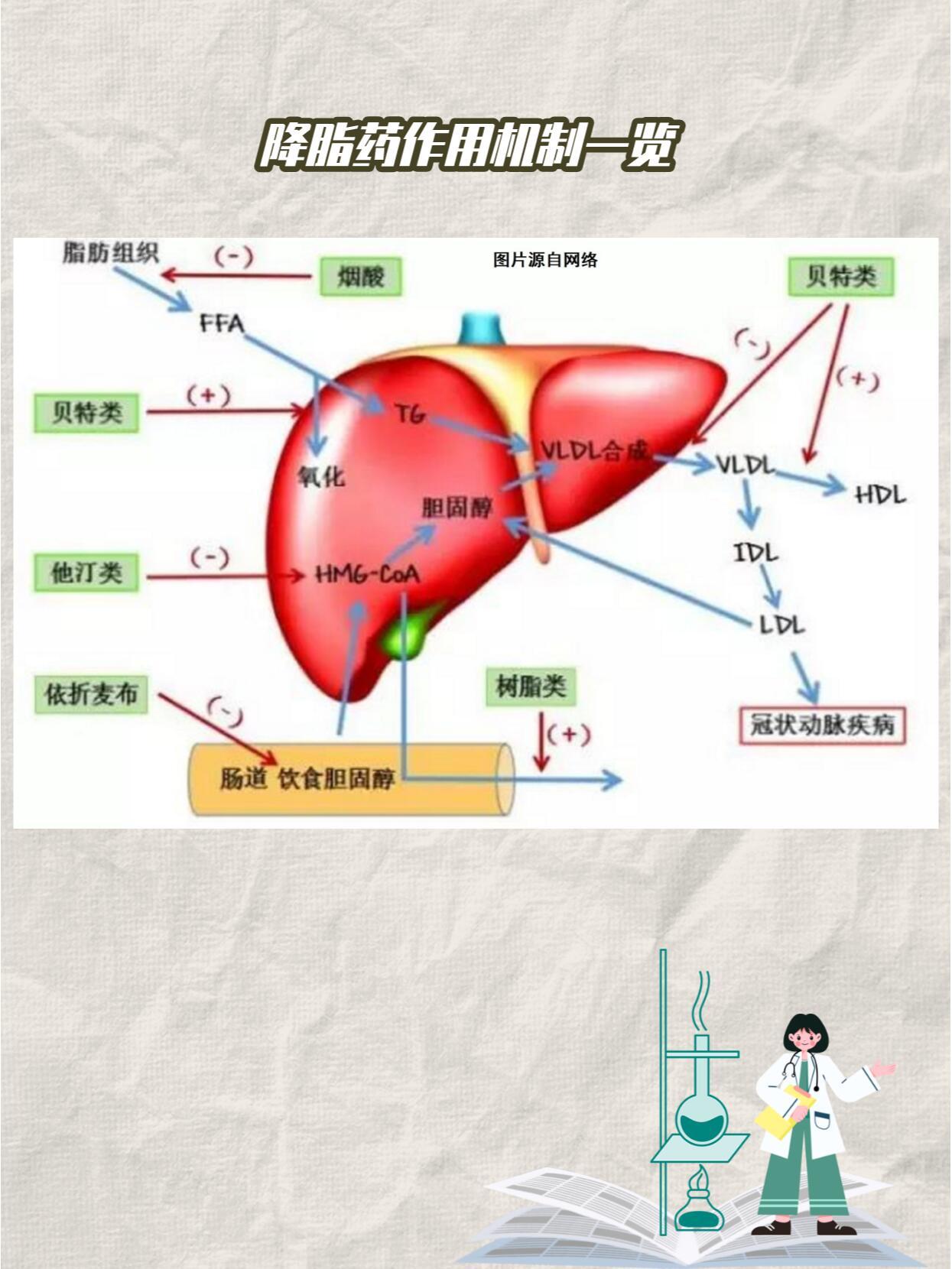 血脂高的危害有哪些?