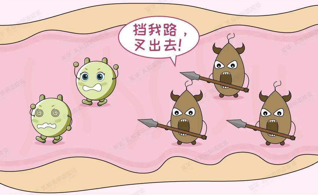 滴虫性阴道炎是怎么根治