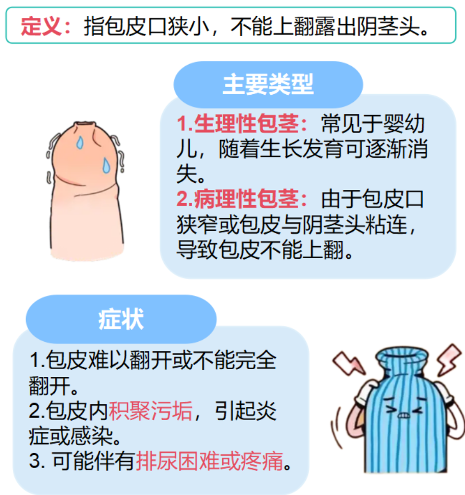 包皮翻过来,怎么都翻不回去了
