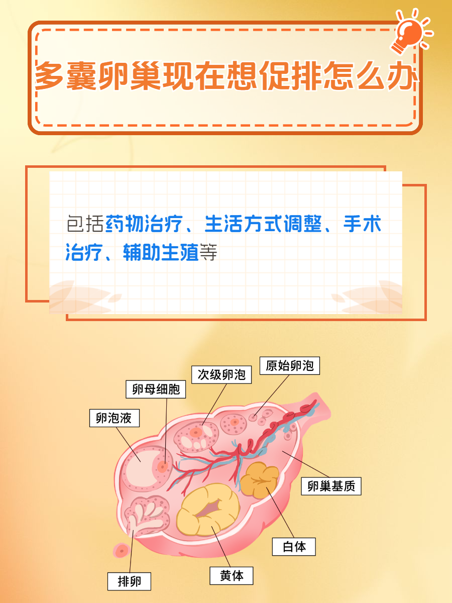 多囊卵巢大概多久能治好