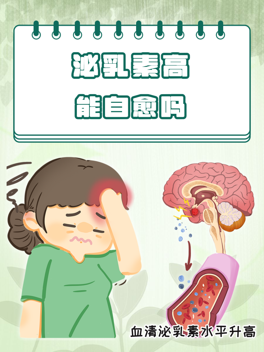 泌乳素高什么原因?