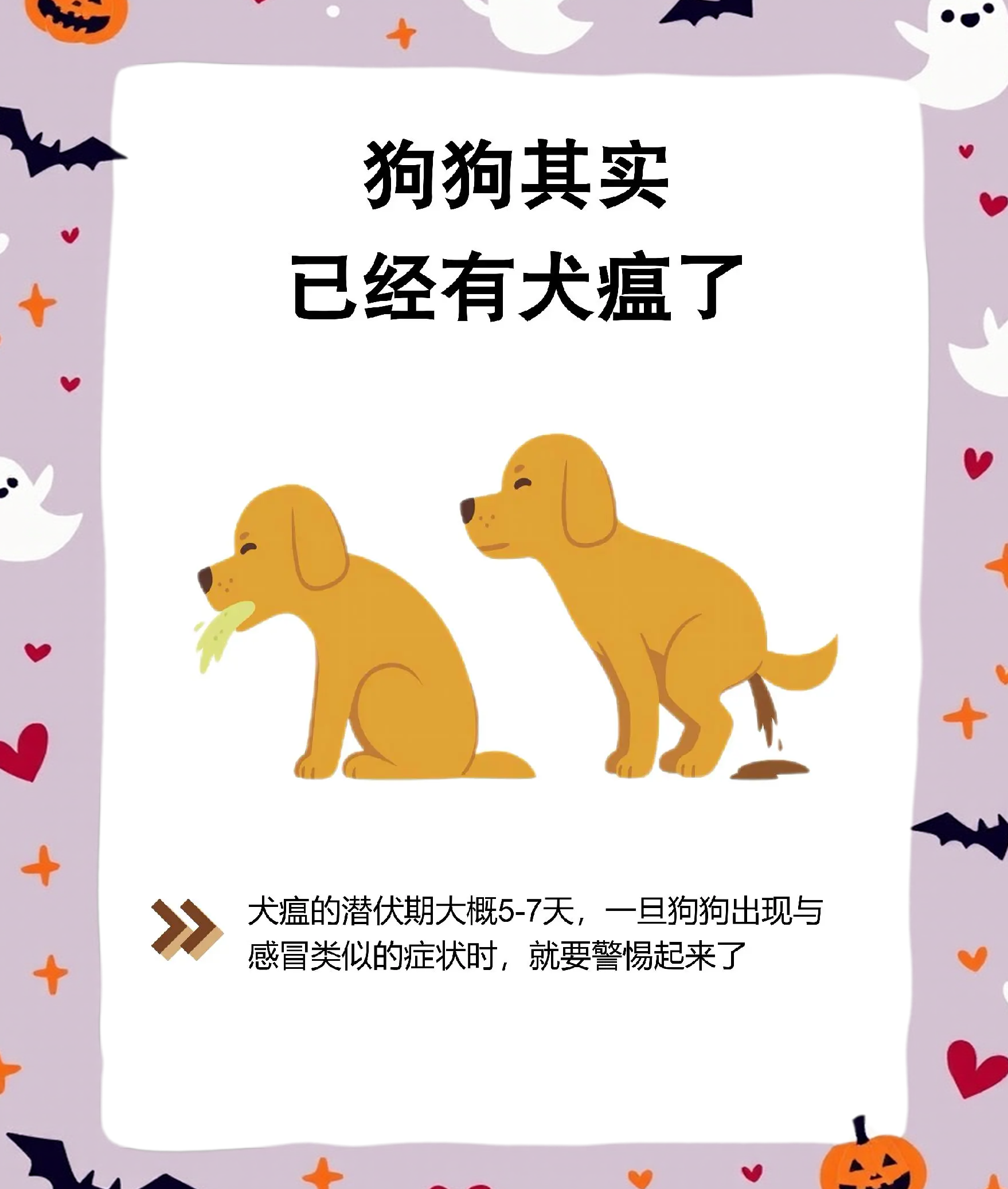 犬瘟热会传染人吗