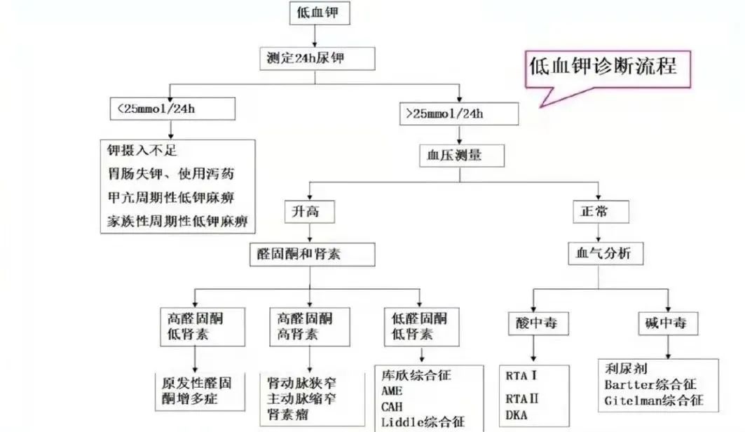 低钾血症的常见原因