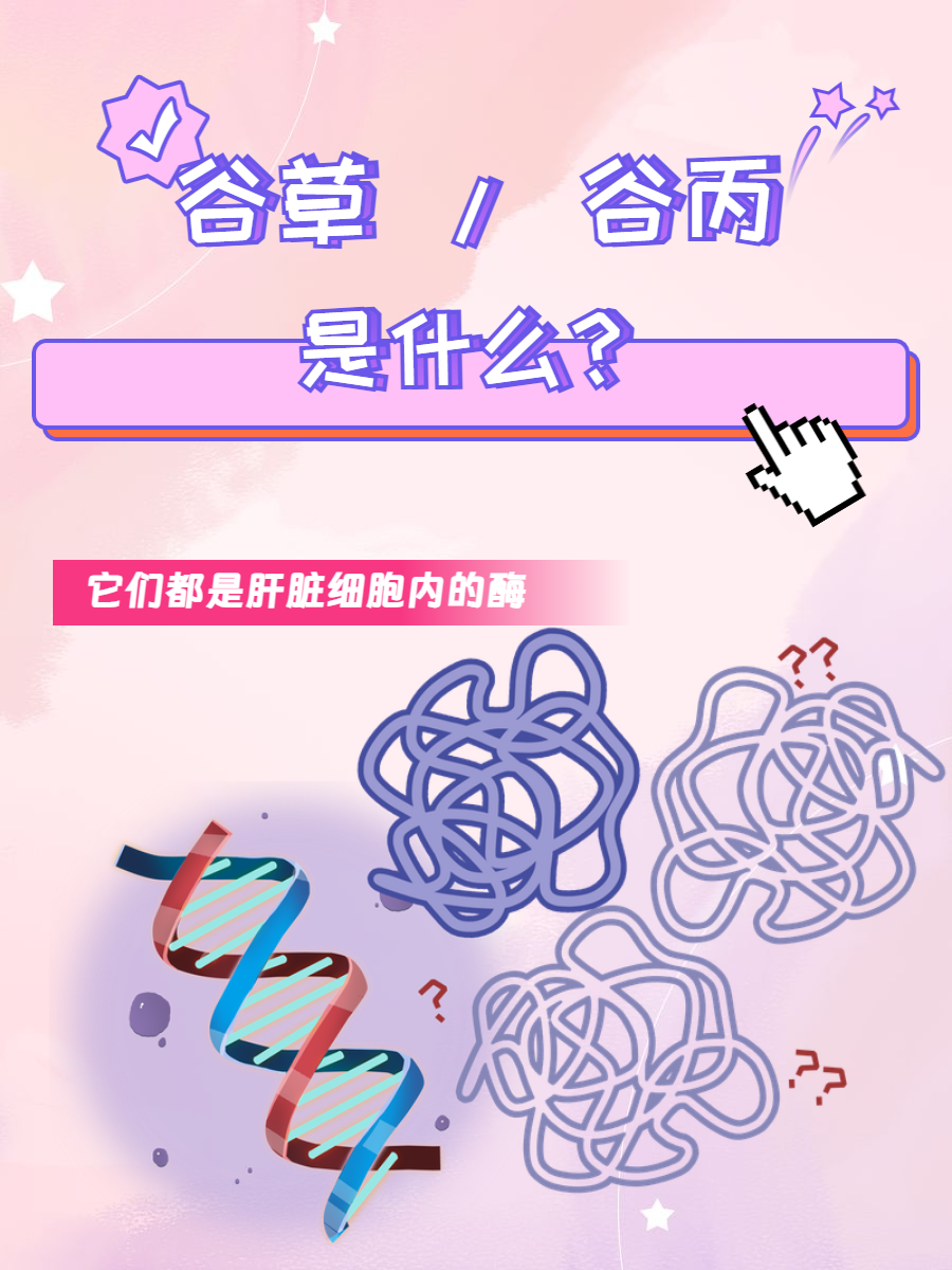 谷丙转氨酶和谷草转氨酶是什么意思?