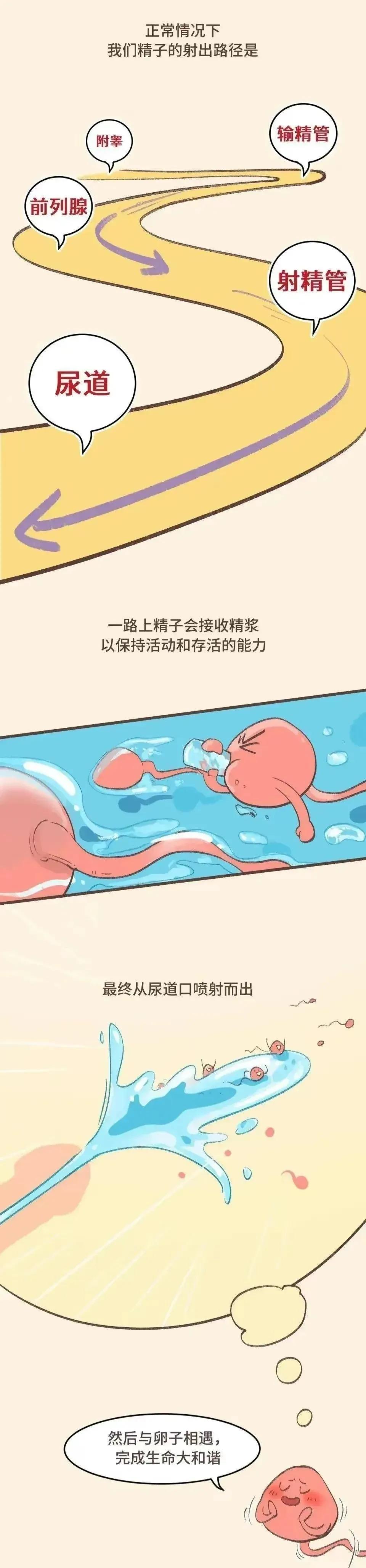 如果没有射进去会怀孕吗?