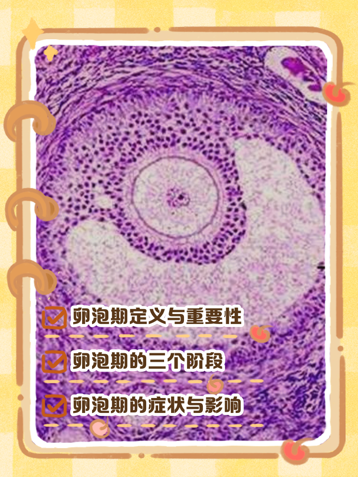 卵泡长不大,是什么原因?