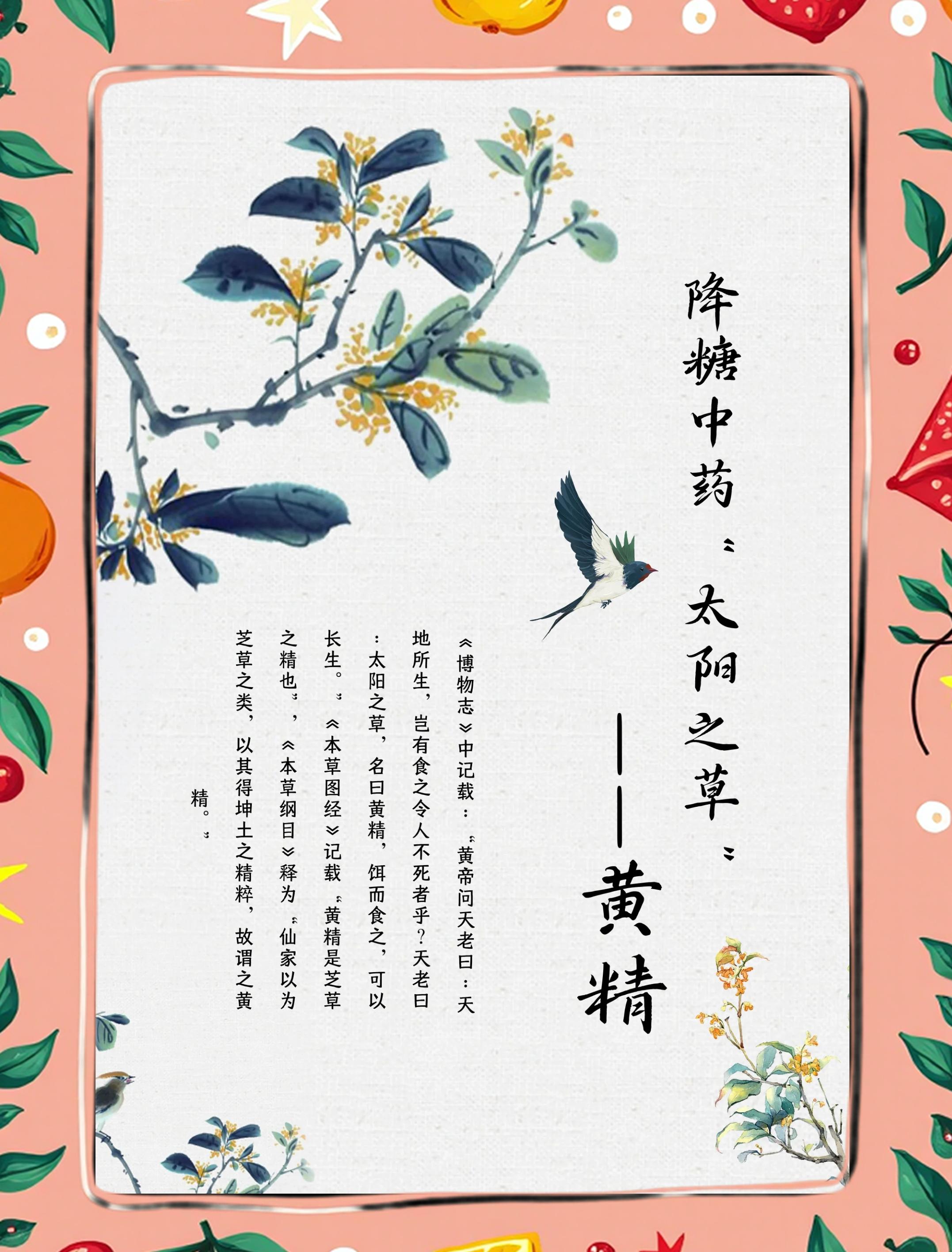 老师,请问太子参黄精有什么作用呢