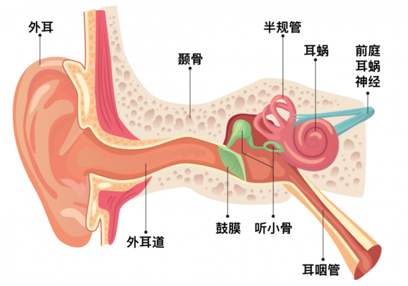耳鼓膜穿孔该怎么办?