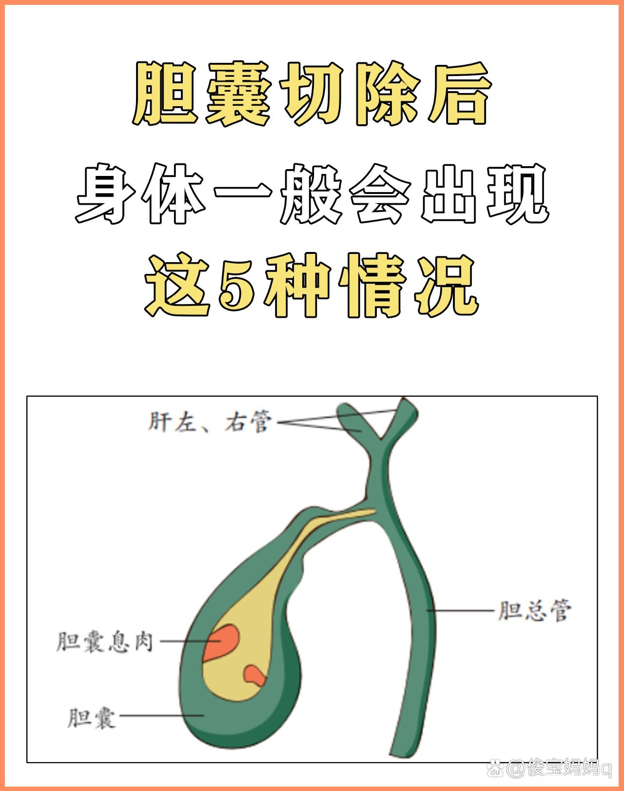 2025年10月25日 第49页