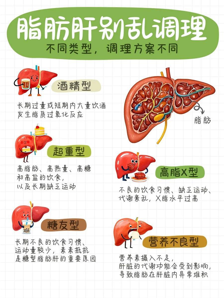 重度脂肪肝的危害
