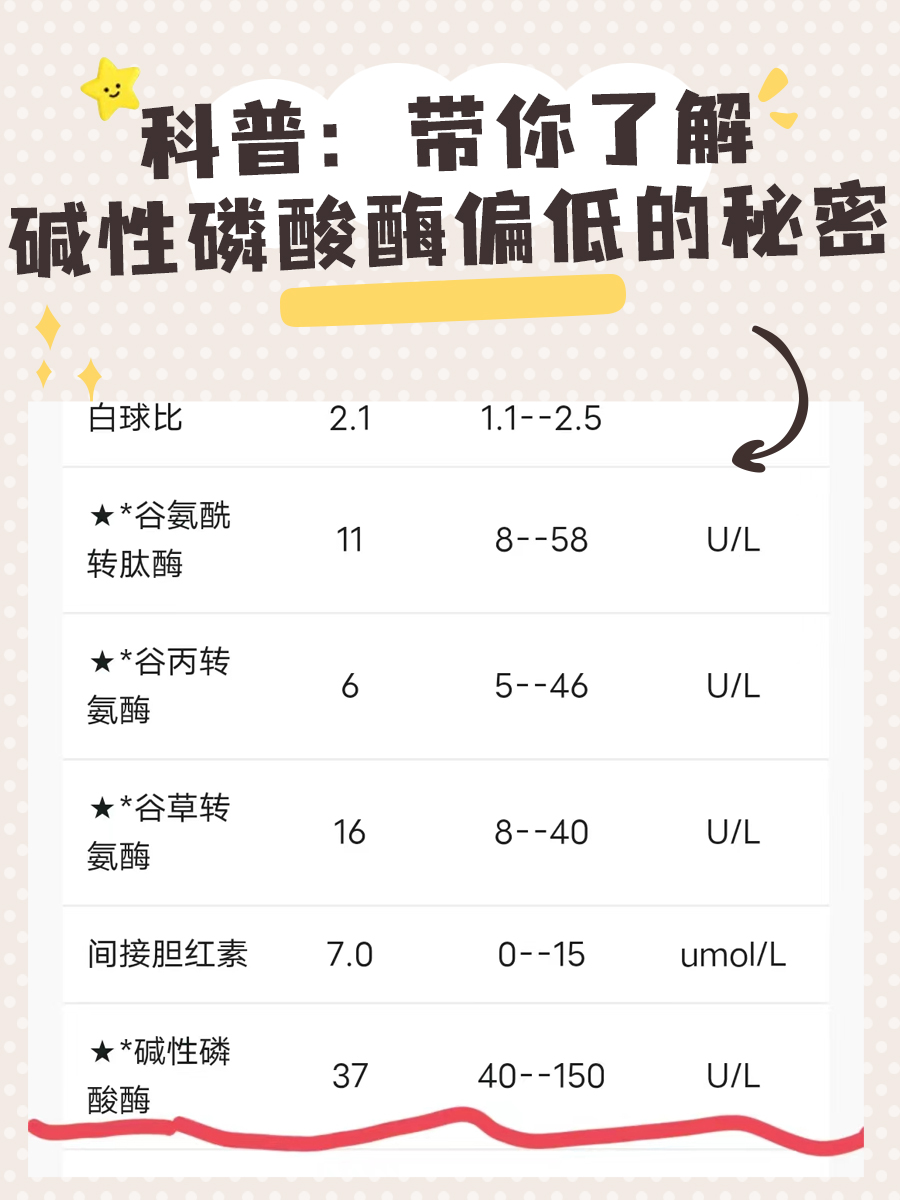 碱性磷酸酶偏高是怎么回事