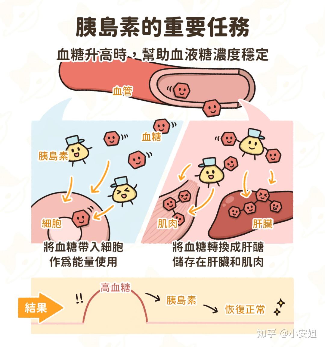 I型糖尿病有哪些特点