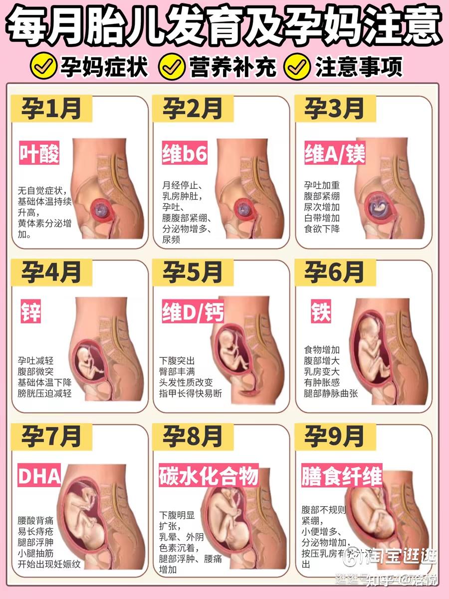 怀孕两个月孕酮正常值是多少
