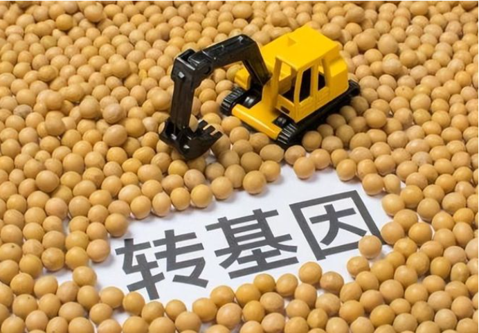 转基因是怎么回事