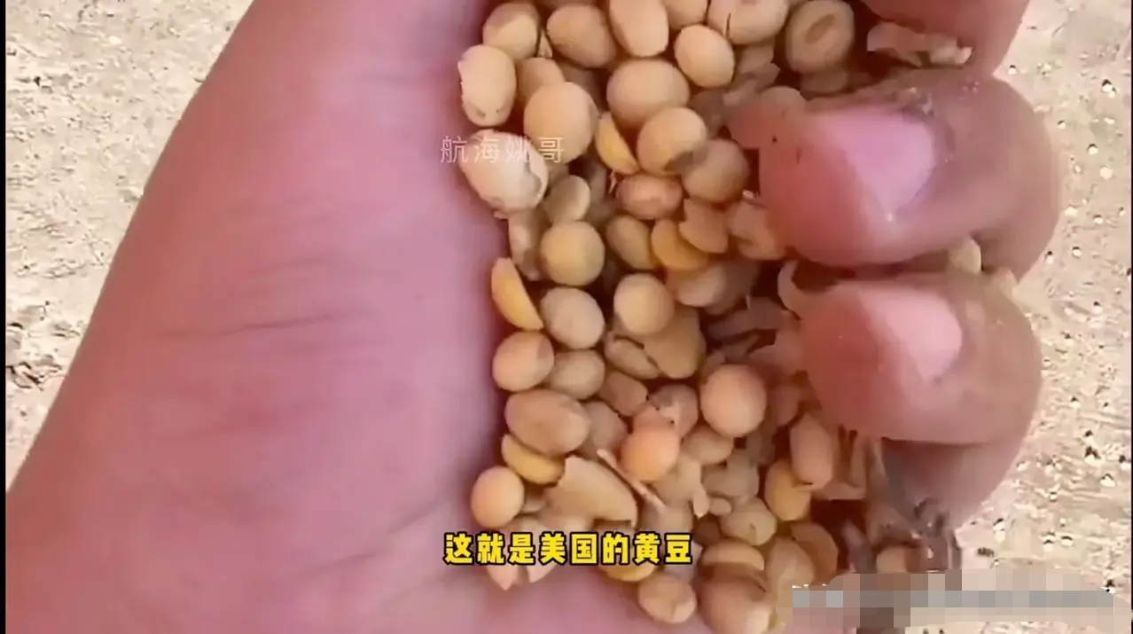 转基因是怎么回事
