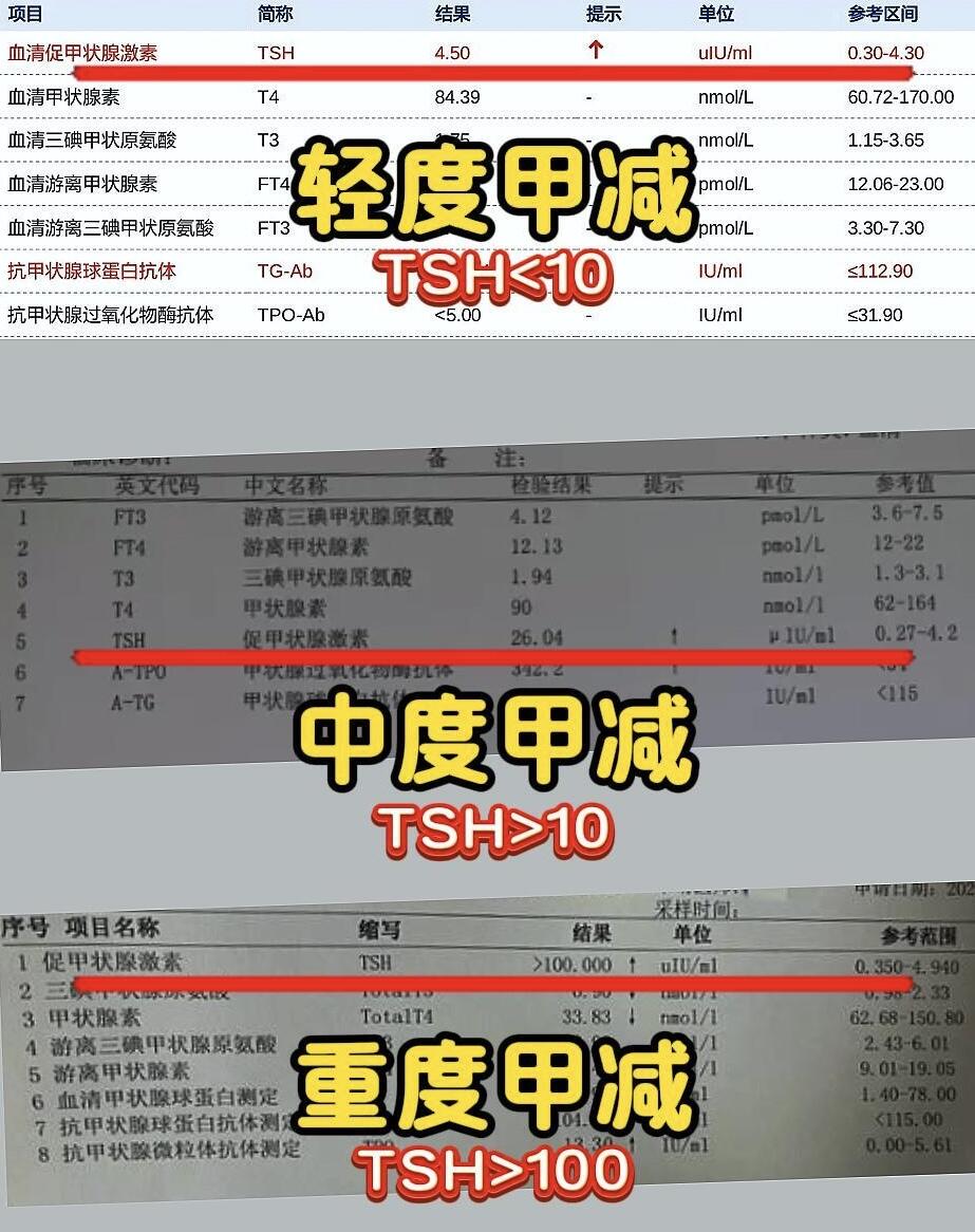 2025年10月25日 第32页