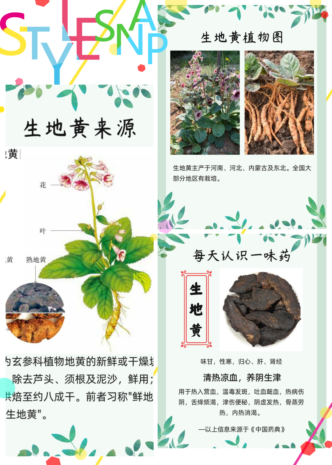 地黄功效与作用