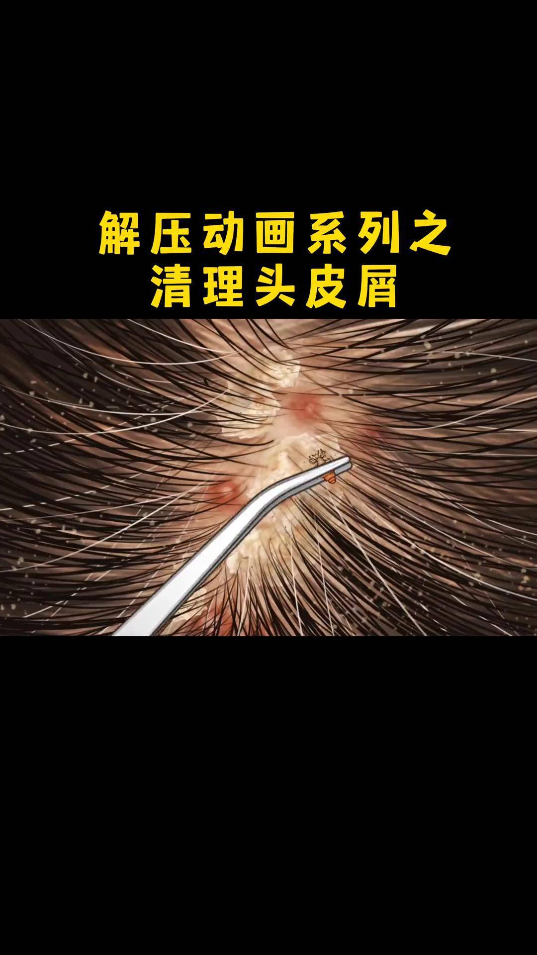 2025年10月25日 第11页