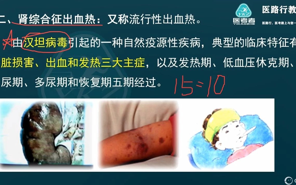 出血热是什么病