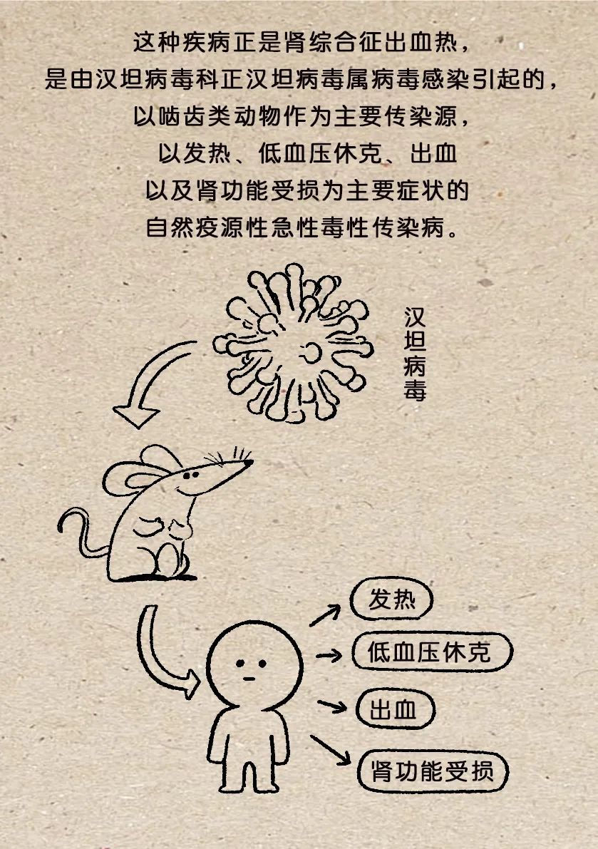 出血热是什么病