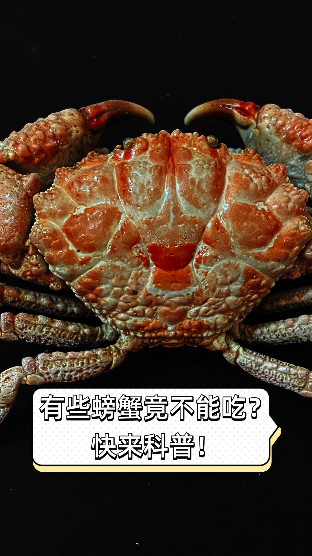 吃螃蟹不能吃什么