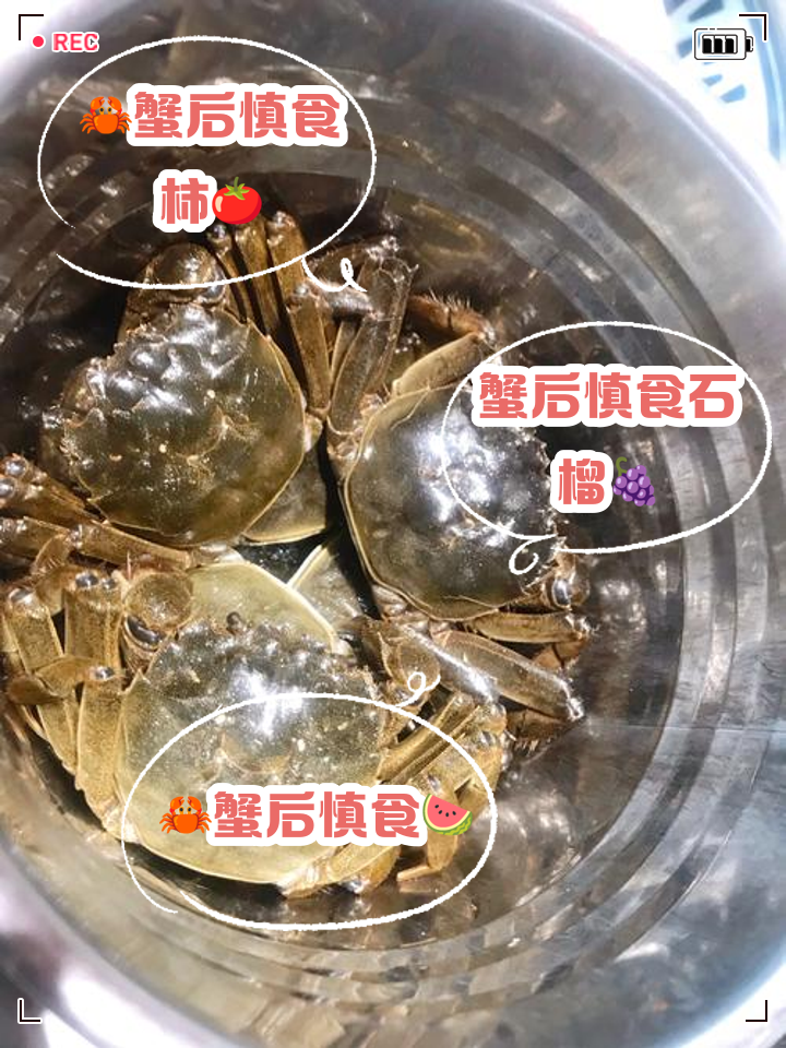 吃螃蟹不能吃什么