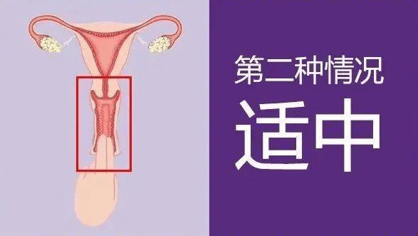 外阴肿大是怎么原因引起的?