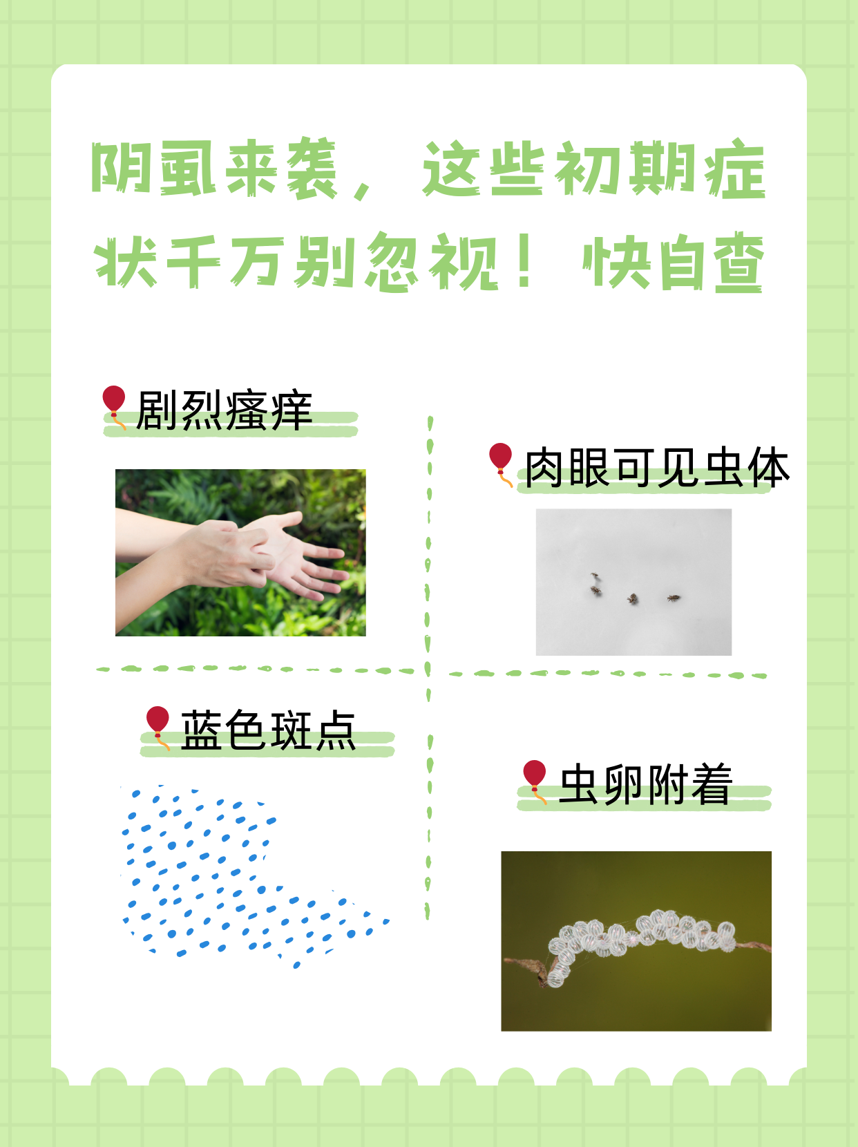 什么原因会长阴虱