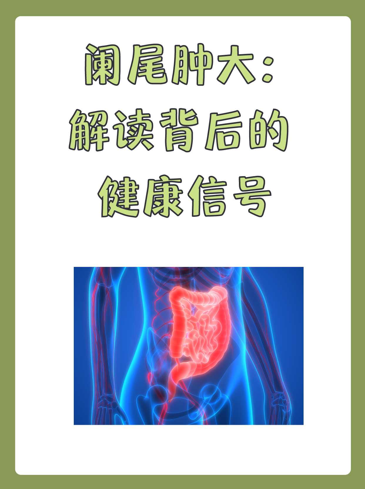 阑尾是什么
