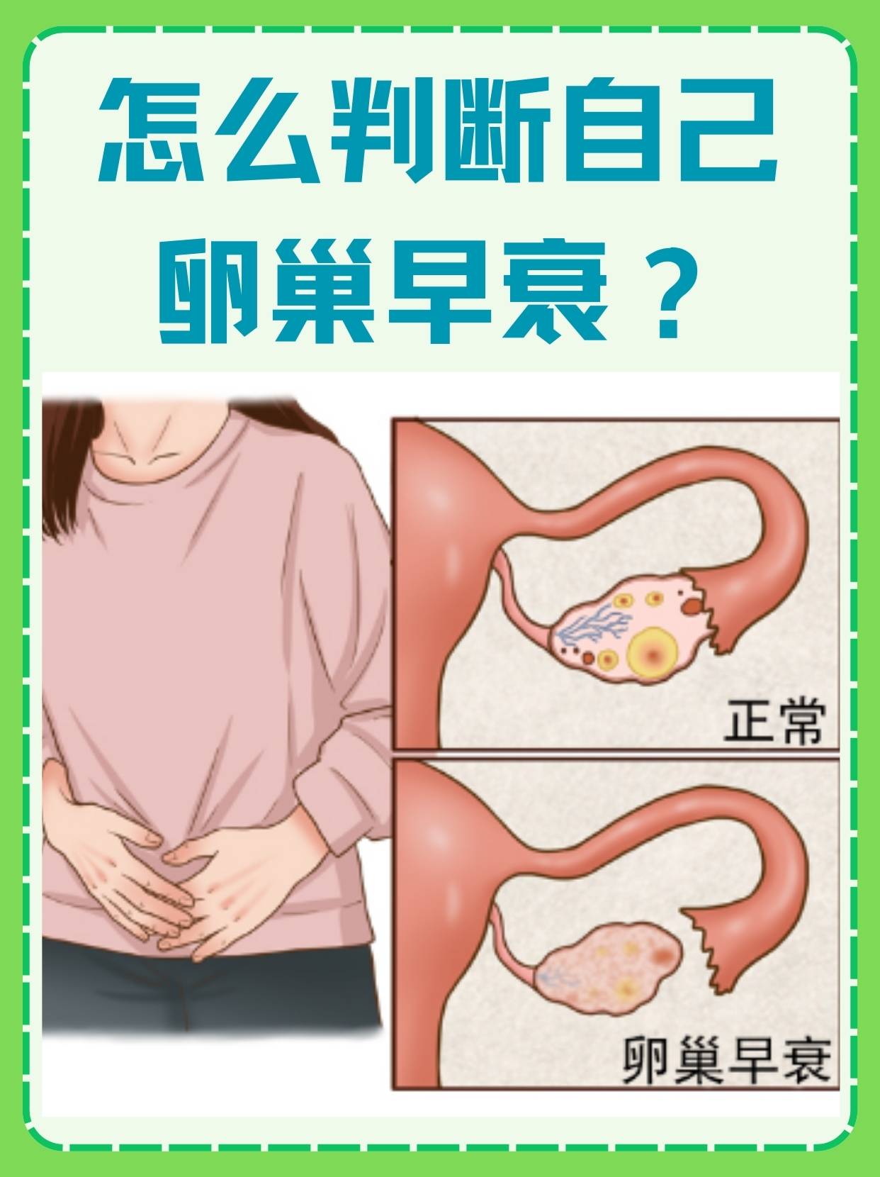 卵巢大小正常范围是多少