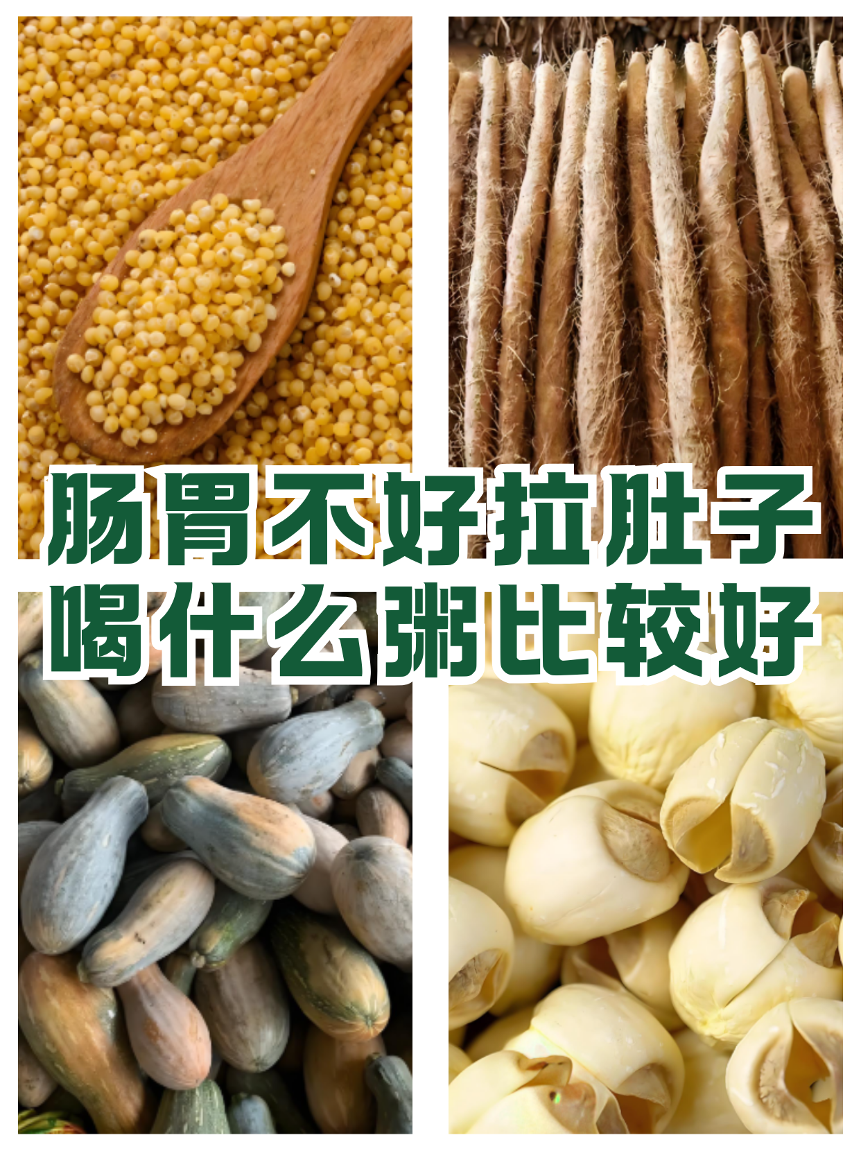 拉肚子后吃什么食物好