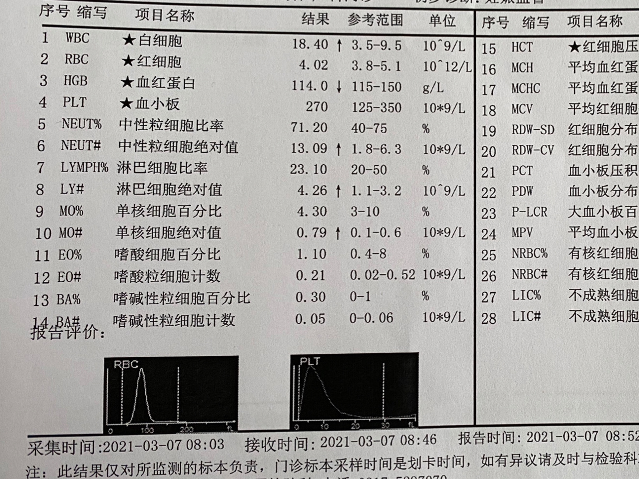 中性粒细胞高是什么病