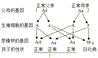 白化病怎么遗传
