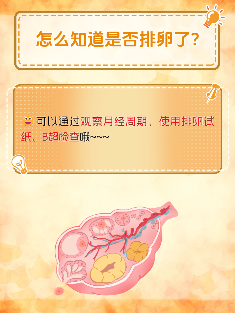 排卵是什么