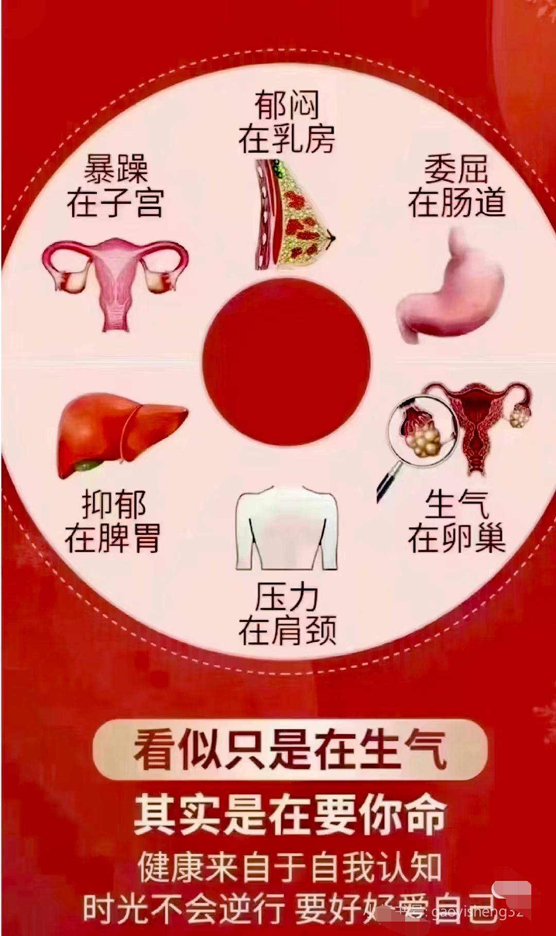 女性心肝火旺的原因