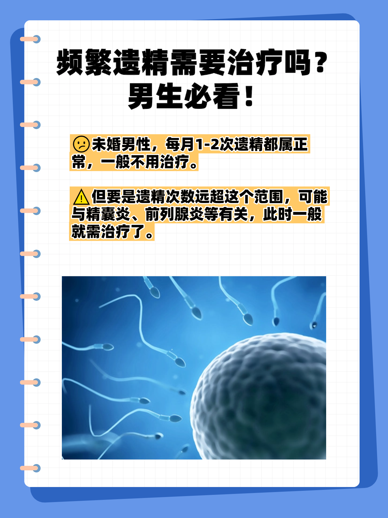 2025年10月26日 第17页