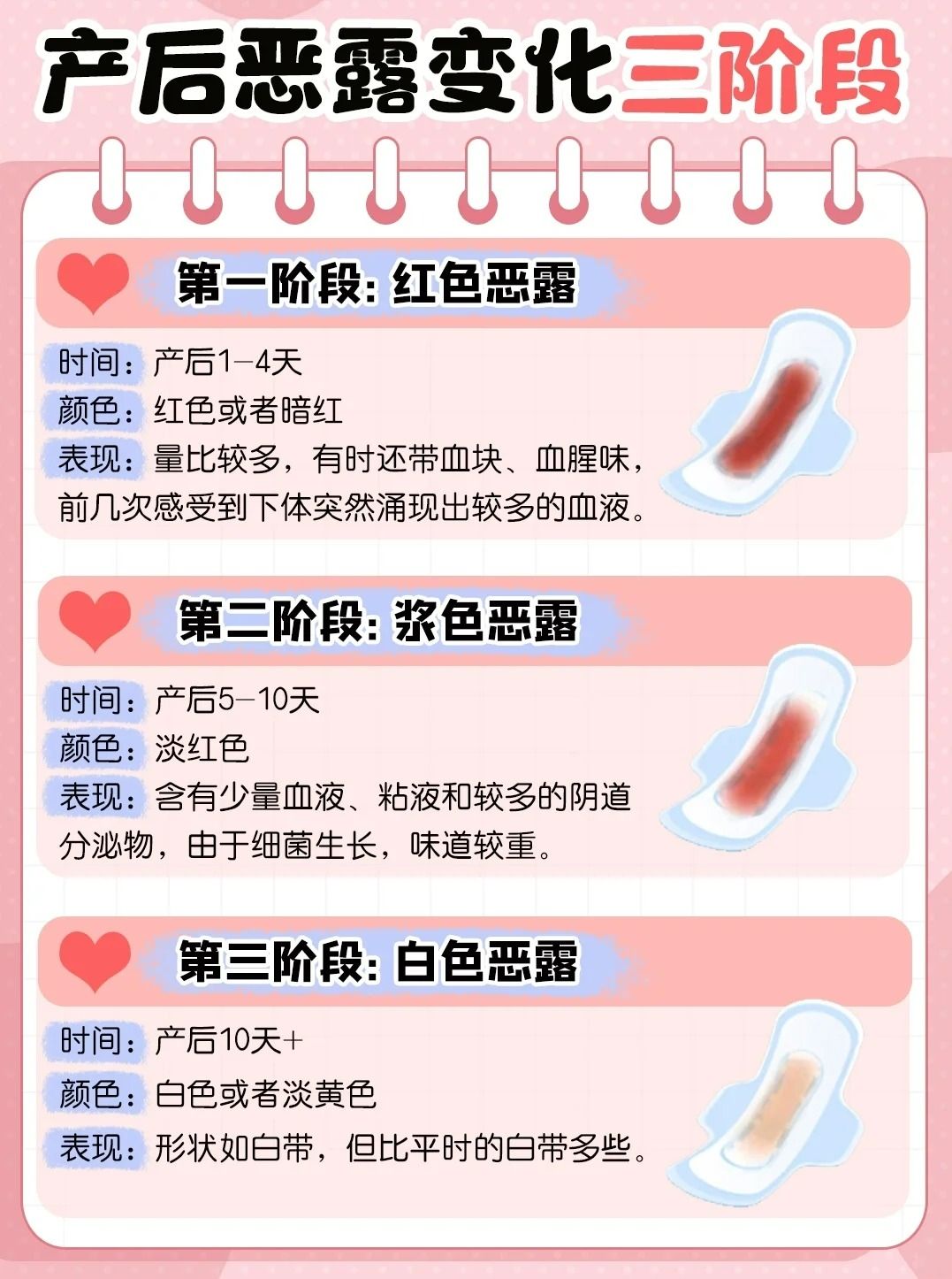 恶露一般多久排完