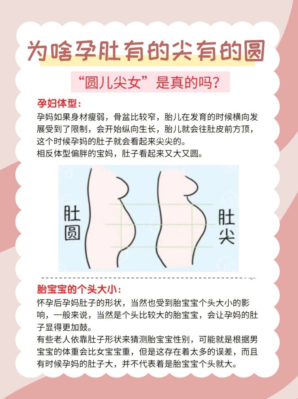 怀孕肚子为什么是尖的