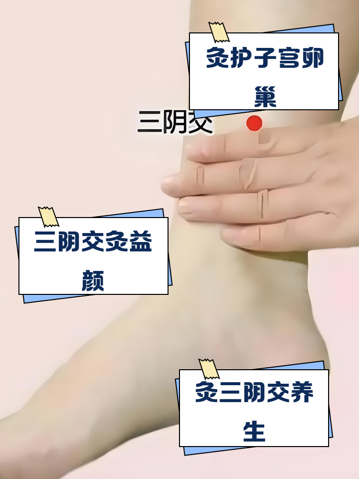 女人的三阴是什么地方