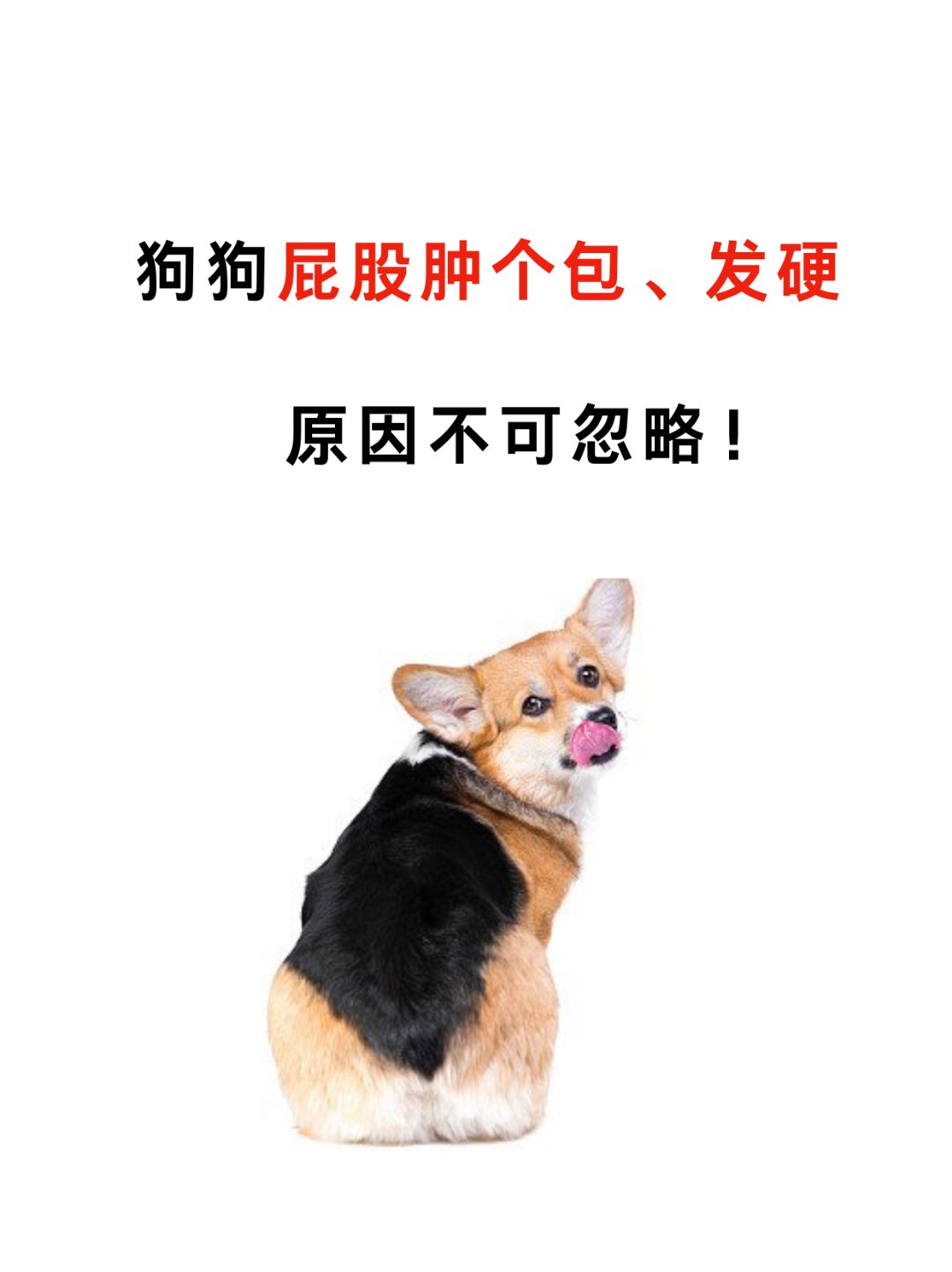 屁股上长了个包是怎么回事