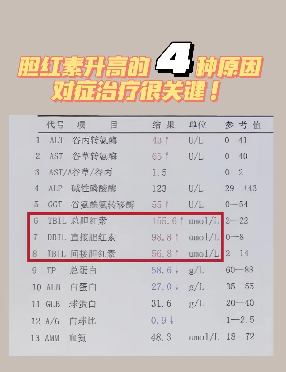 总胆红素偏高有什么危害